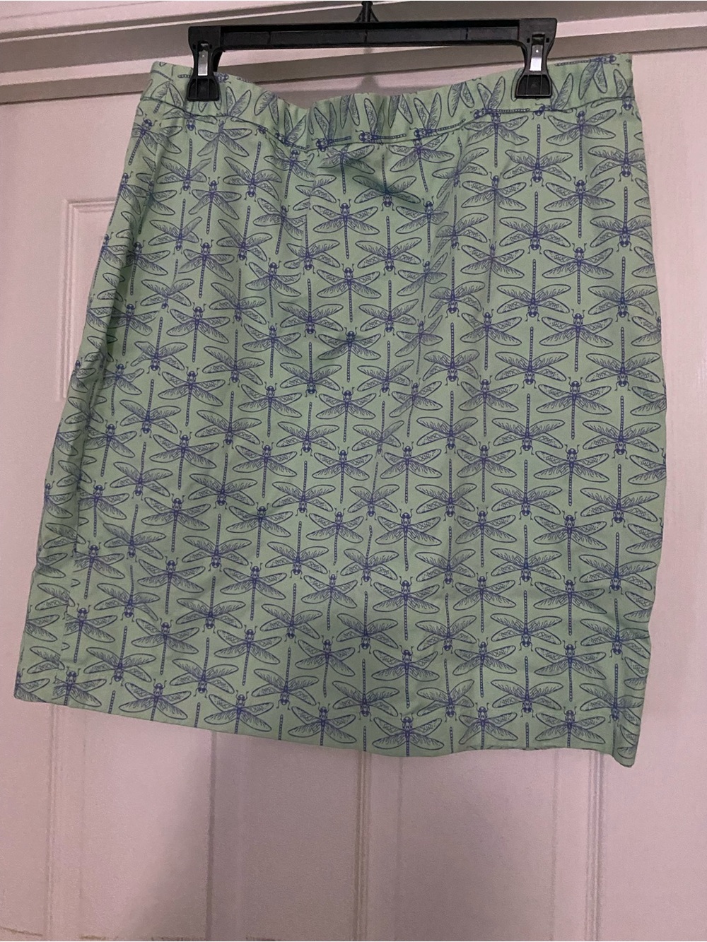 Brooks Mint Green  Skirt with Blue Dragonfly Print. Size 14